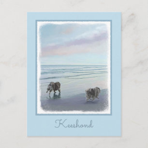 Keeshonds in de Seashore-schilderkunst Briefkaart