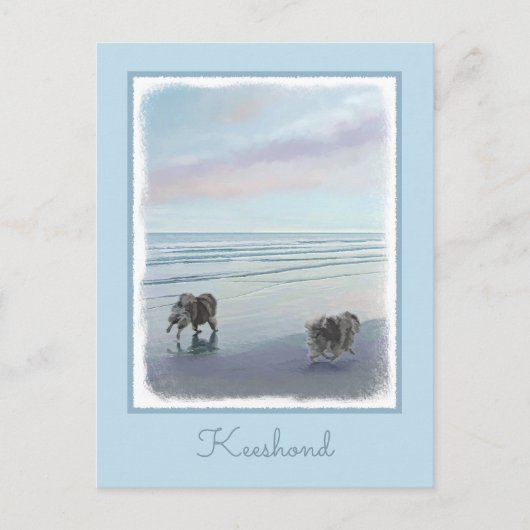 Keeshonds in de Seashore-schilderkunst Briefkaart (Voorkant)