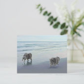 Keeshonds in de Seashore-schilderkunst Briefkaart (Staand voorkant)