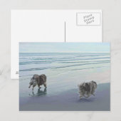 Keeshonds in de Seashore-schilderkunst Briefkaart (Voorkant / Achterkant)