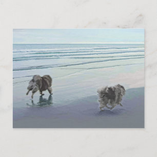 Keeshonds in de Seashore-schilderkunst Briefkaart