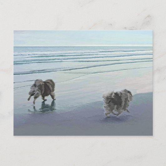 Keeshonds in de Seashore-schilderkunst Briefkaart (Voorkant)