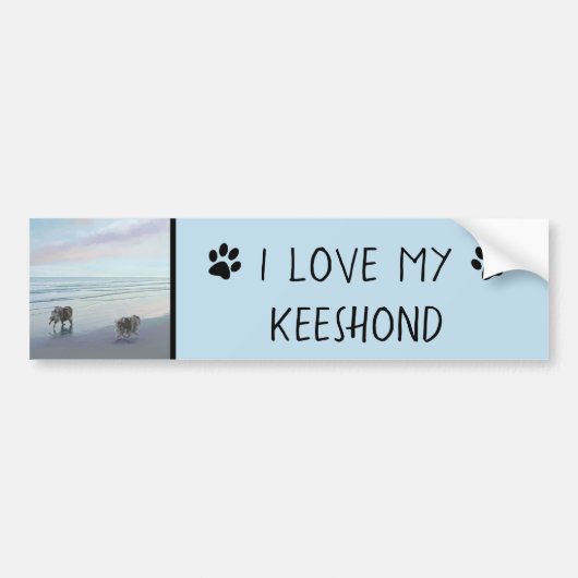 Keeshonds in de Seashore-schilderkunst Bumpersticker (Voorkant)