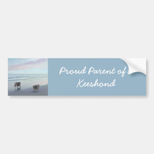 Keeshonds in de Seashore-schilderkunst Bumpersticker (Voorkant)