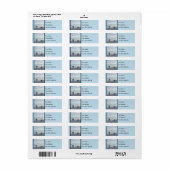 Keeshonds in de Seashore-schilderkunst Etiket (Full Sheet)