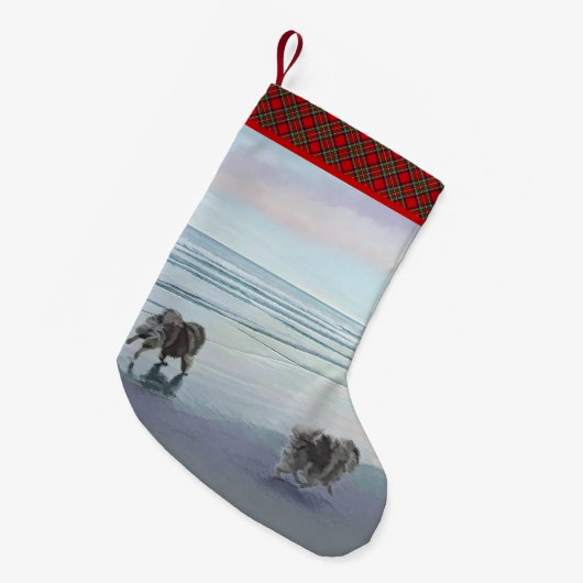 Keeshonds in de Seashore-schilderkunst Kleine Kerstsok (Voorkant (Hangend))