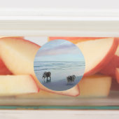 Keeshonds in de Seashore-schilderkunst Labels (Aangebracht)