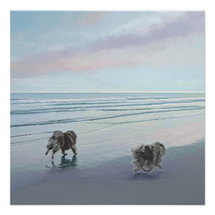 Keeshonds in de Seashore-schilderkunst Perfect Poster