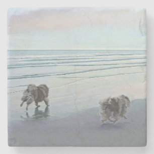 Keeshonds in de Seashore-schilderkunst Stenen Onderzetter