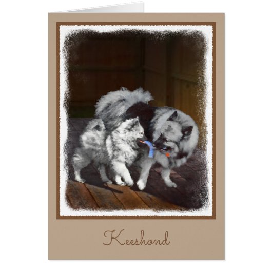 Keespap Playtime schilderen - Cute Original Dog Ar (Voorkant)