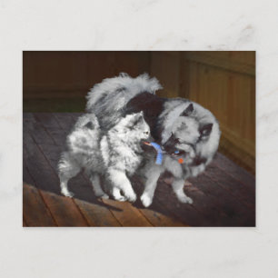 Keespap Playtime schilderen - Cute Original Dog Ar Briefkaart