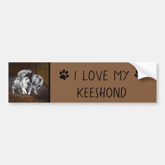 Keespap Playtime schilderen - Cute Original Dog Ar Bumpersticker (Voorkant)