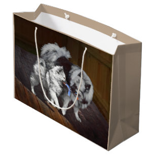 Keespap Playtime schilderen - Cute Original Dog Ar Groot Cadeauzakje