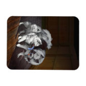 Keespap Playtime schilderen - Cute Original Dog Ar Magneet (Horizontaal)