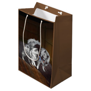 Keespap Playtime schilderen - Cute Original Dog Ar Medium Cadeauzakje