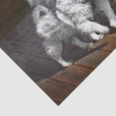 Keespap Playtime schilderen - Cute Original Dog Ar Tissuepapier (Detail)