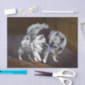 Keespap Playtime schilderen - Cute Original Dog Ar Tissuepapier (Craft)