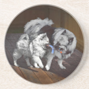 Keespap Playtime schilderen - Cute Original Dog Ar Zandsteen Onderzetter