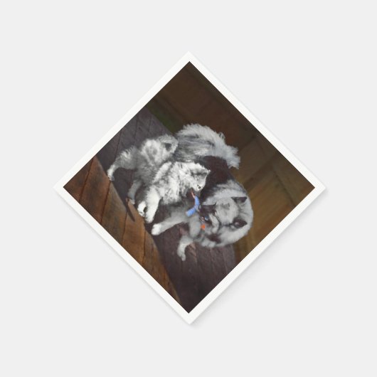 Keesparelschilderingen - Oorspronkelijke honden Servet (Hoek)