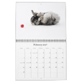 Keesridge Keeshonden Agenda 2015 Kalender (Feb 2027)