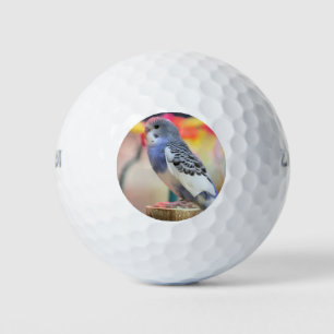 Keet Golfballen