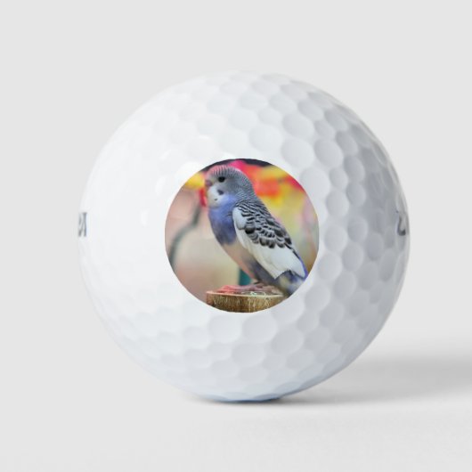 Keet Golfballen (Voorkant)