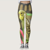 Keet Leggings (Voorkant)