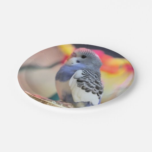 Keet Papieren Bordje (Gekanteld)