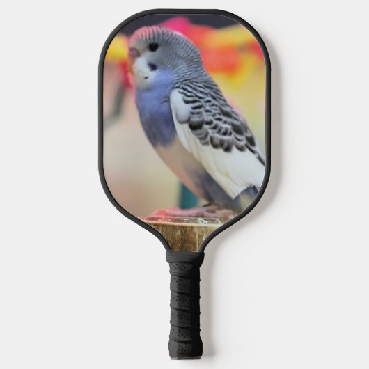 Keet Pickleball Paddle (Voorkant)
