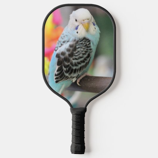 Keet Pickleball Paddle (Achterkant)