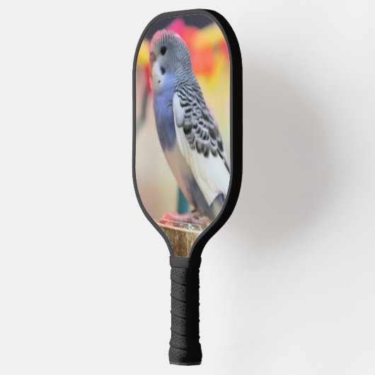 Keet Pickleball Paddle (Links)