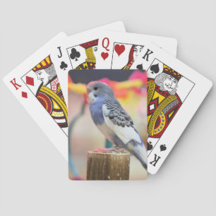Keet Pokerkaarten