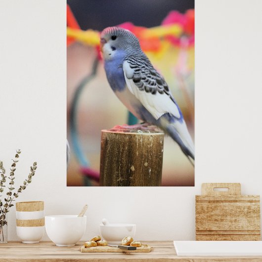 Keet Poster (Keuken)