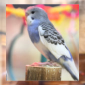 Keet Raamsticker (Vel 2)