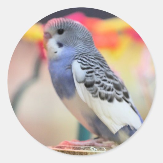 Keet Ronde Sticker (Voorkant)