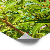 Kefalonia Griekenland Poster (Hoek)