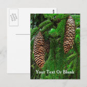 Kegels en naalden briefkaart (Voorkant / Achterkant)