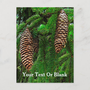 Kegels en naalden briefkaart