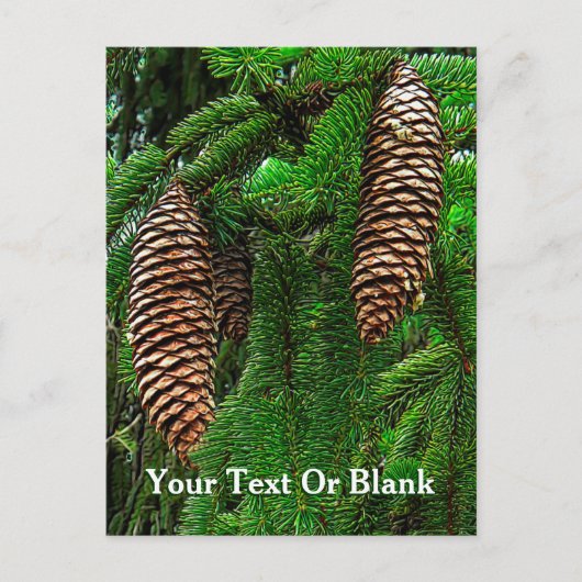 Kegels en naalden briefkaart (Voorkant)