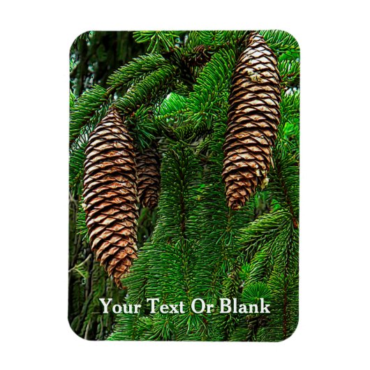 Kegels en naalden magneet (Verticaal)