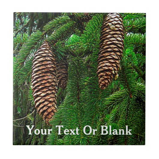 Kegels en naalden tegeltje (Voorkant)