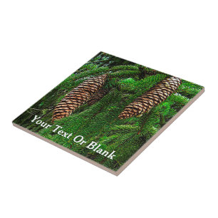 Kegels en naalden tegeltje