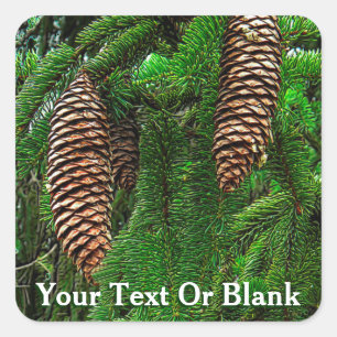 Kegels en naalden vierkante sticker