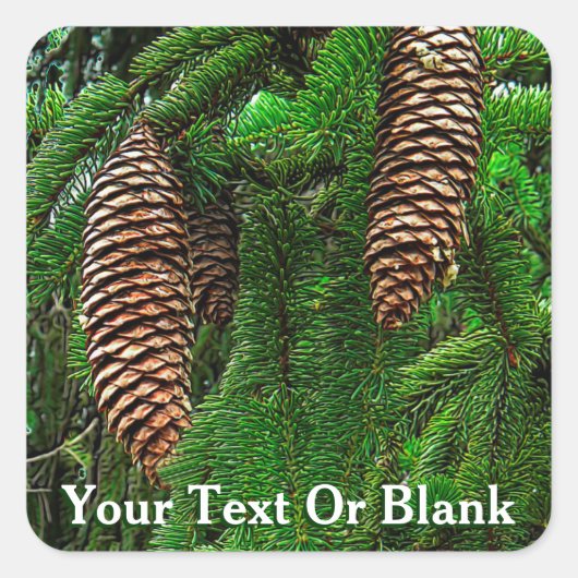 Kegels en naalden vierkante sticker (Voorkant)