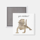 Kegels Magneet (Voorkant / Achterkant)