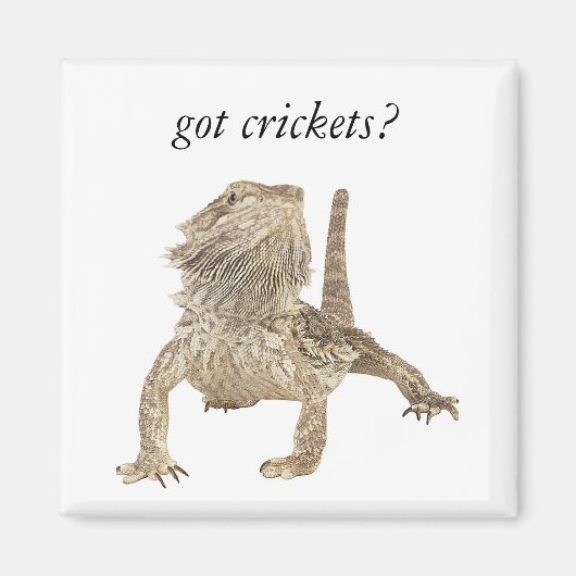 Kegels Magneet (Voorkant)