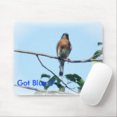 Kegels met Blues-muispad Muismat (Met muis)