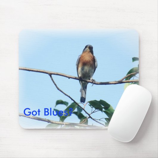 Kegels met Blues-muispad Muismat (Met muis)