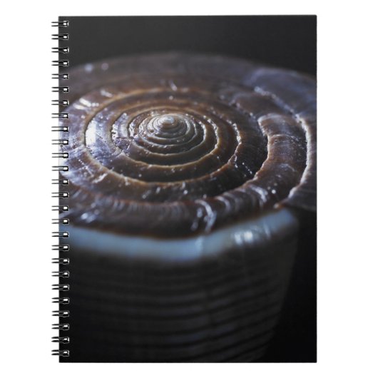Kegelschelp Notitieboek (Voorkant)