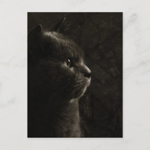 Kegelsilhouet - Briefkaart